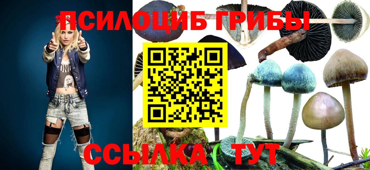 Псилоцибиновые грибы Magic Shrooms Ростов Великий