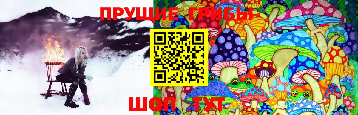 Псилоцибиновые грибы Psilocybine cubensis  Ростов Великий 