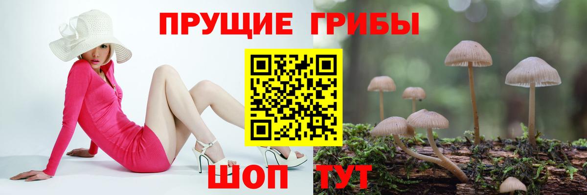 Ростов Великий  Галлюциногенные грибы мухоморы  Вход с VPN 